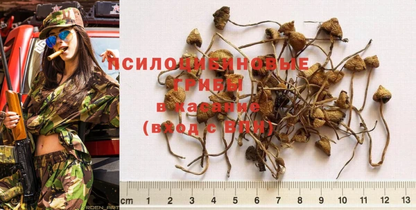 крисы Каменногорск