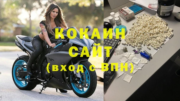 крисы Каменногорск