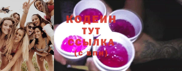 apvp Каменка