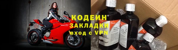 apvp Каменка