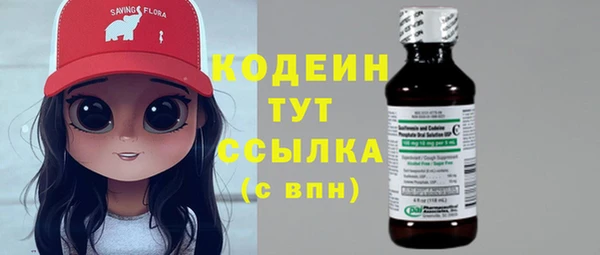 apvp Каменка