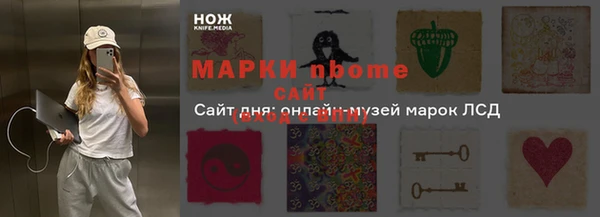 крисы Каменногорск
