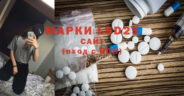 apvp Каменка