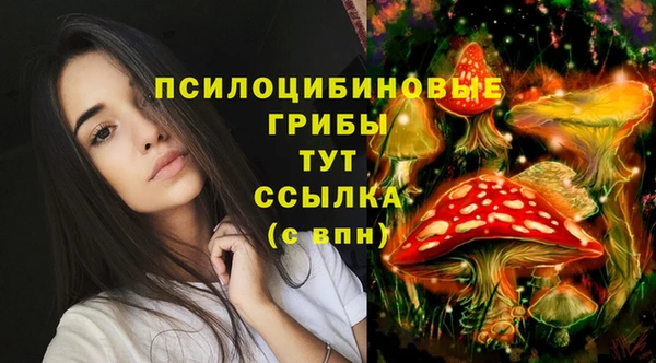 метадон Каменск-Шахтинский