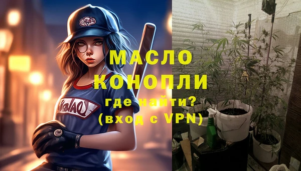 крисы Каменногорск