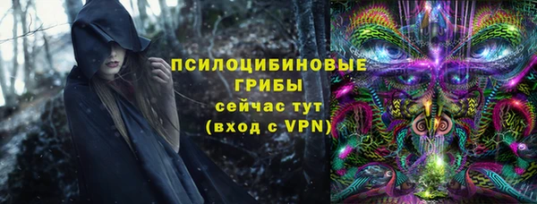 крисы Каменногорск