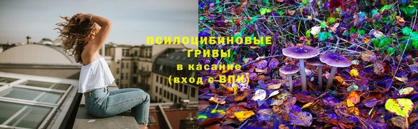 крисы Каменногорск