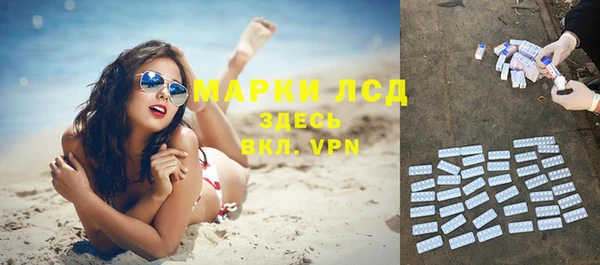 apvp Каменка