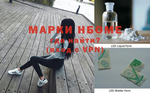 крисы Каменногорск
