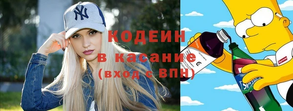 apvp Каменка